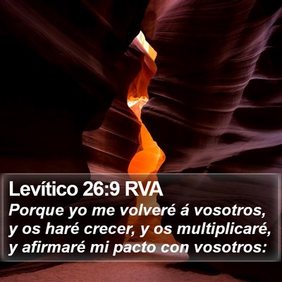 Levítico 26:9 RVA Bible Verse Image