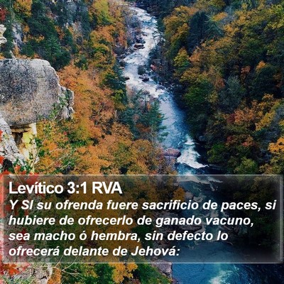 Levítico 3:1 RVA Bible Verse Image