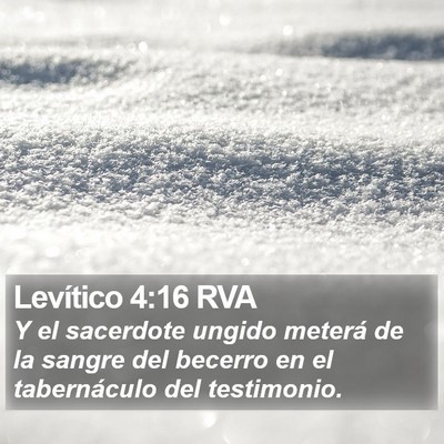 Levítico 4:16 RVA Bible Verse Image