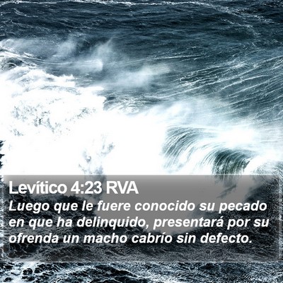 Levítico 4:23 RVA Bible Verse Image