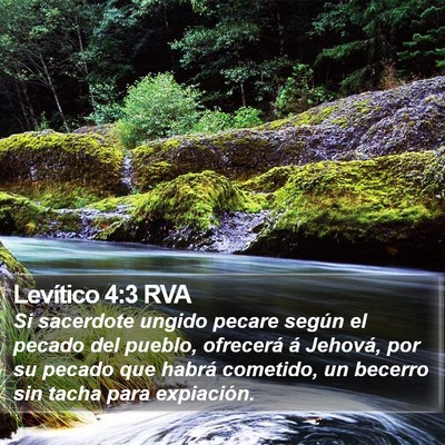 Levítico 4:3 RVA Bible Verse Image
