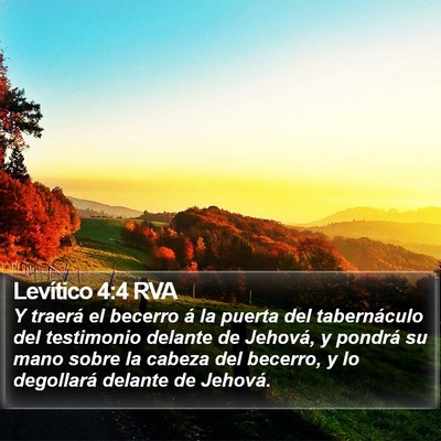 Levítico 4:4 RVA Bible Verse Image