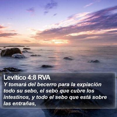 Levítico 4:8 RVA Bible Verse Image