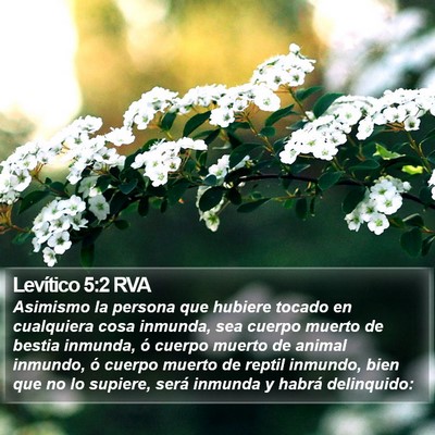 Levítico 5:2 RVA Bible Verse Image