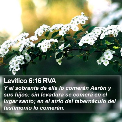 Levítico 6:16 RVA Bible Verse Image