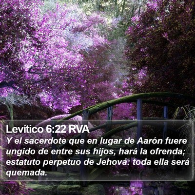 Levítico 6:22 RVA Bible Verse Image