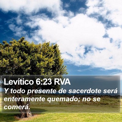 Levítico 6:23 RVA Bible Verse Image