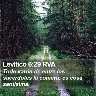 Levítico 6:29 RVA Bible Verse Image