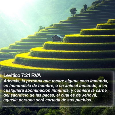 Levítico 7:21 RVA Bible Verse Image