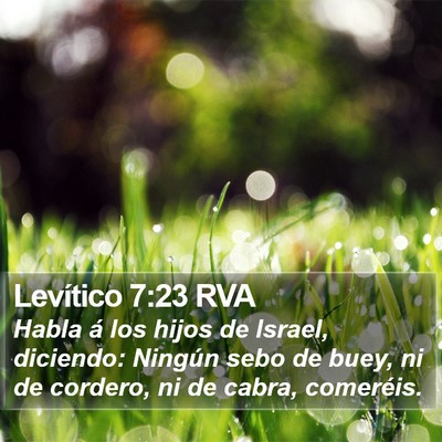 Levítico 7:23 RVA Bible Verse Image