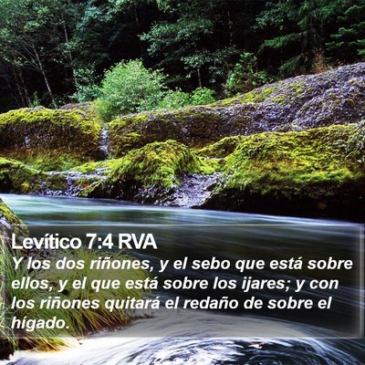 Levítico 7:4 RVA Bible Verse Image