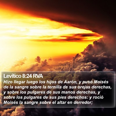 Levítico 8:24 RVA Bible Verse Image