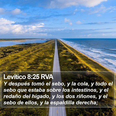 Levítico 8:25 RVA Bible Verse Image