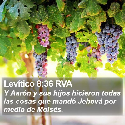 Levítico 8:36 RVA Bible Verse Image