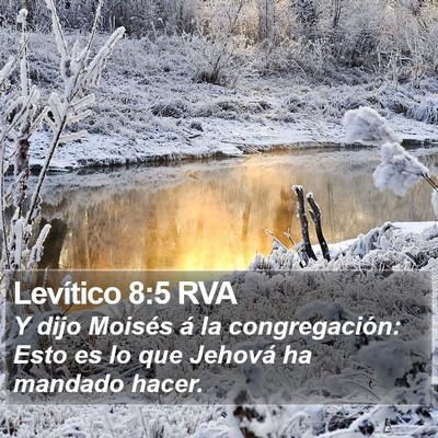 Levítico 8:5 RVA Bible Verse Image