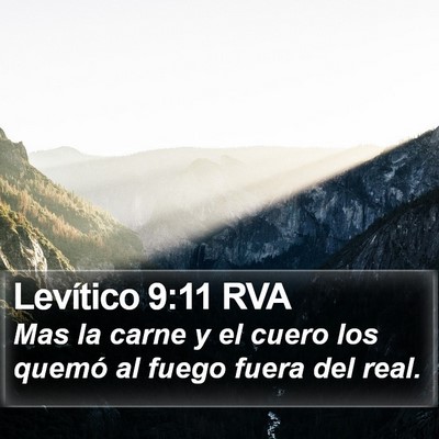 Levítico 9:11 RVA Bible Verse Image