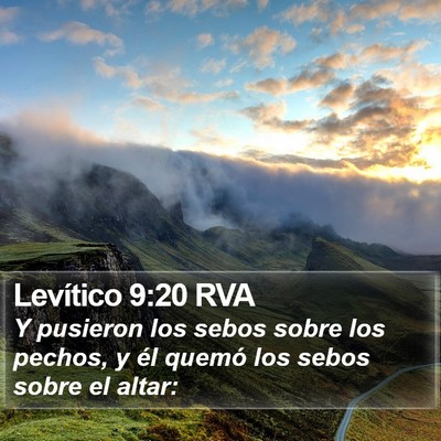 Levítico 9:20 RVA Bible Verse Image