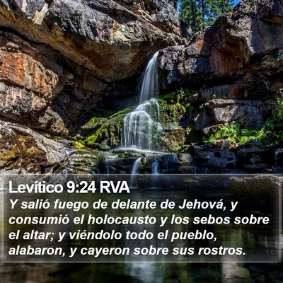 Levítico 9:24 RVA Bible Verse Image