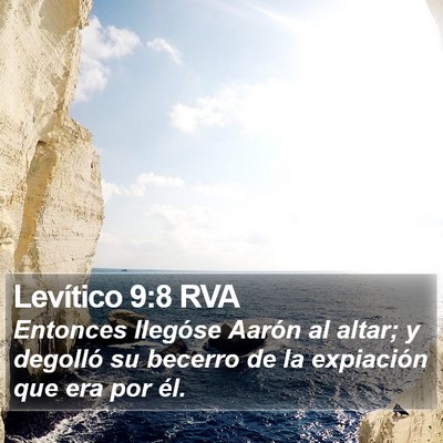 Levítico 9:8 RVA Bible Verse Image