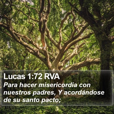 Lucas 1:72 RVA Bible Verse Image