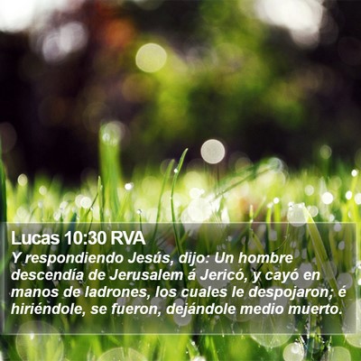 Lucas 10:30 RVA Bible Verse Image