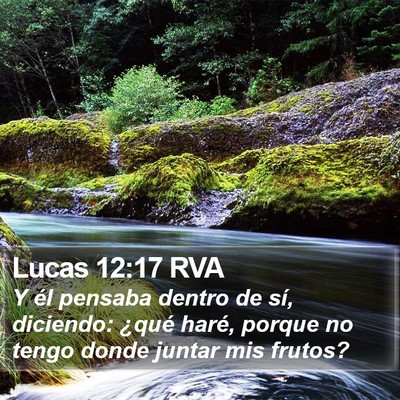 Lucas 12:17 RVA Bible Verse Image
