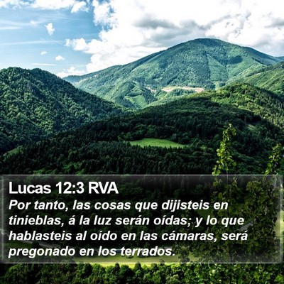 Lucas 12:3 RVA Bible Verse Image