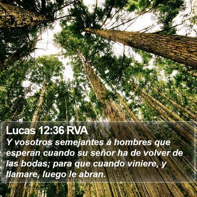 Lucas 12:36 RVA Bible Verse Image
