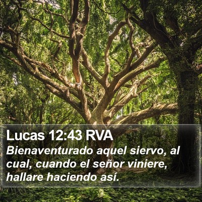 Lucas 12:43 RVA Bible Verse Image