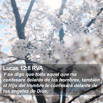 Lucas 12:8 RVA Bible Verse Image