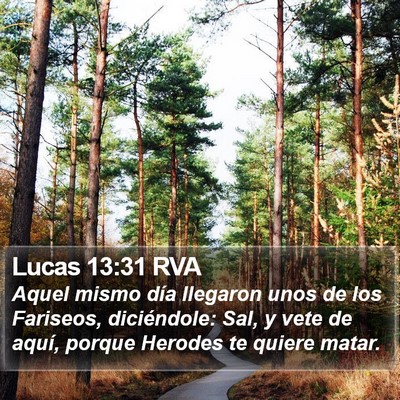 Lucas 13:31 RVA Bible Verse Image