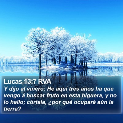 Lucas 13:7 RVA Bible Verse Image