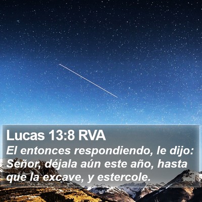 Lucas 13:8 RVA Bible Verse Image