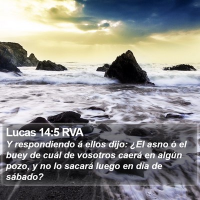 Lucas 14:5 RVA Bible Verse Image