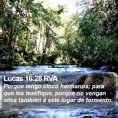 Lucas 16:28 RVA Bible Verse Image