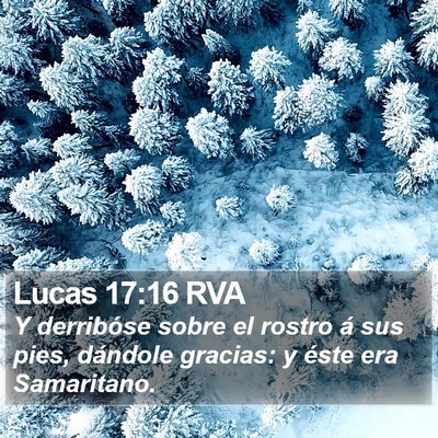 Lucas 17:16 RVA Bible Verse Image