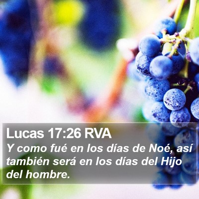 Lucas 17:26 RVA Bible Verse Image