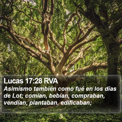 Lucas 17:28 RVA Bible Verse Image