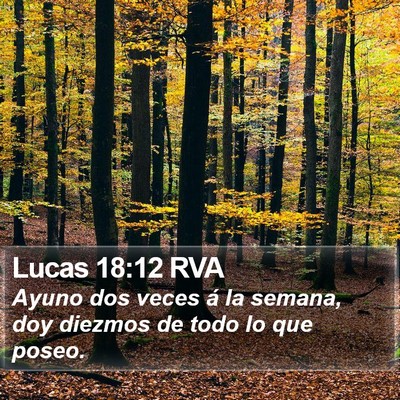 Lucas 18:12 RVA Bible Verse Image