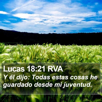 Lucas 18:21 RVA Bible Verse Image