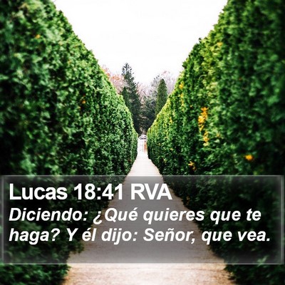 Lucas 18:41 RVA Bible Verse Image