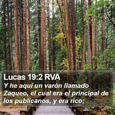 Lucas 19:2 RVA Bible Verse Image