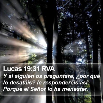 Lucas 19:31 RVA Bible Verse Image