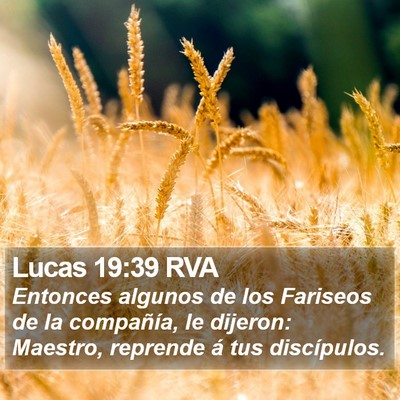 Lucas 19:39 RVA Bible Verse Image