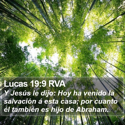 Lucas 19:9 RVA Bible Verse Image