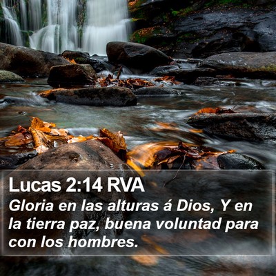 Lucas 2:14 RVA Bible Verse Image