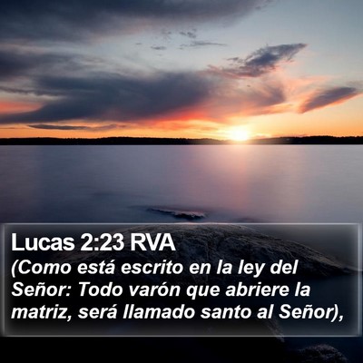 Lucas 2:23 RVA Bible Verse Image