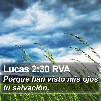 Lucas 2:30 RVA Bible Verse Image