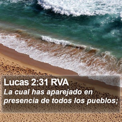 Lucas 2:31 RVA Bible Verse Image