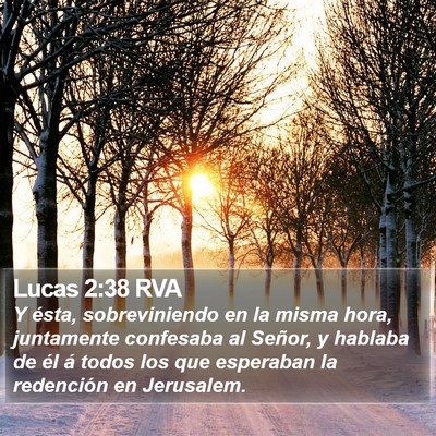 Lucas 2:38 RVA Bible Verse Image